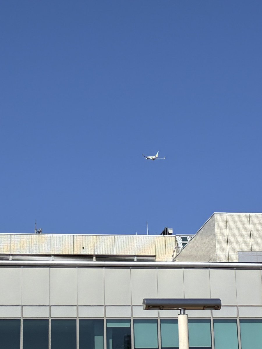 実は空港✈️です🩷
推し活.........

母の推し活の送迎🚗🤣🤣🤣😭
母は今から東京へ〜
✈️でひとっ飛びなのになぁ
あゝツライ

てか🎫当たったら秒で騒ぐわ🥹
「実は」なんか言わない