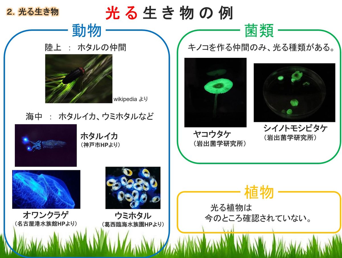 岩出菌学研究所 tweet media