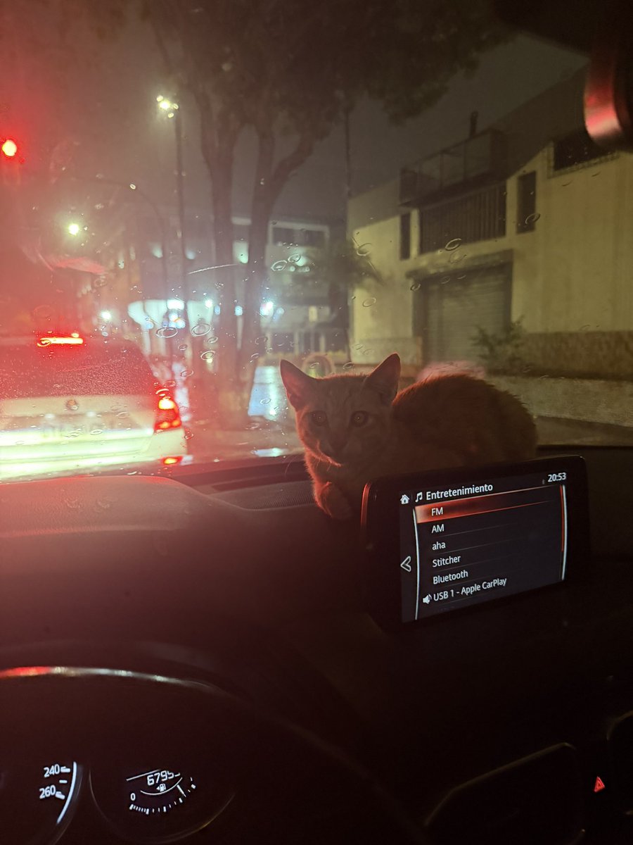 Rebeca Loor tweet media