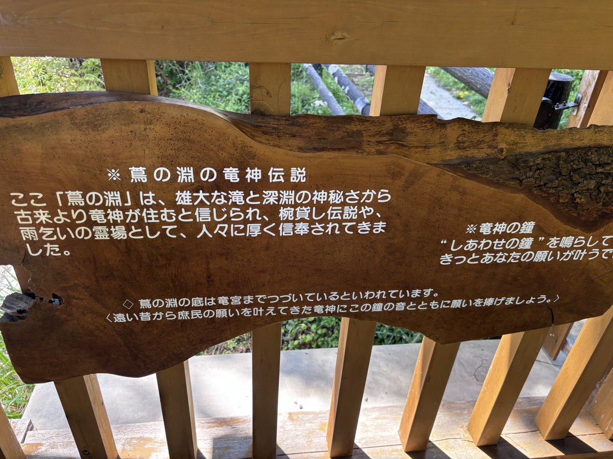 えり@麻雀 tweet media