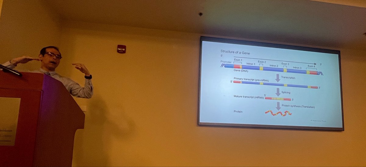 Ruah_Mahmoud's tweet photo. What a great way to start the day 🤩
Beginning a valuable series on molecular genomics @KFSHRC very relevant to all subspecialties of #Hematology and #CellularTherapy https://t.co/s4KHfJ7H1t