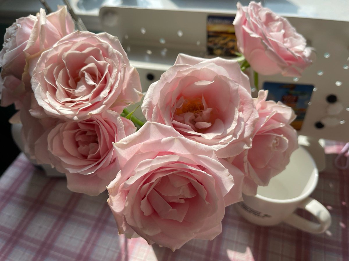 bendouze barreta tweet media