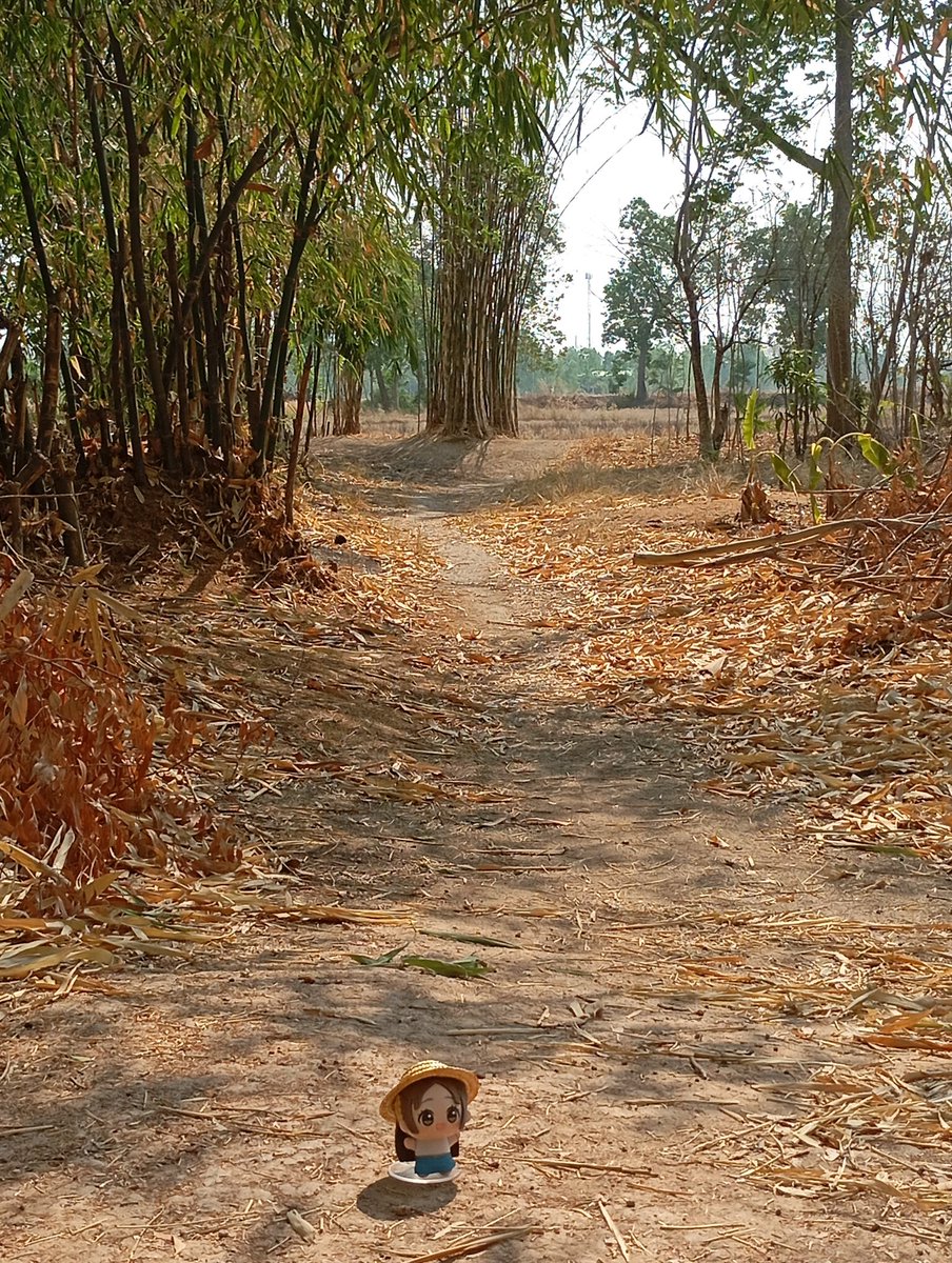 FERGUS🇹🇭 tweet media