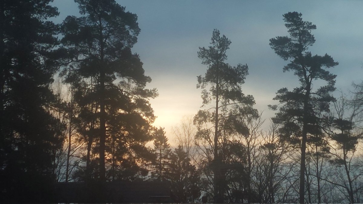 PikkasenTuhma's tweet image. Huomenta 💙! Aamun aurinko💪☀️💪. #FirstLight #ValoaKohti