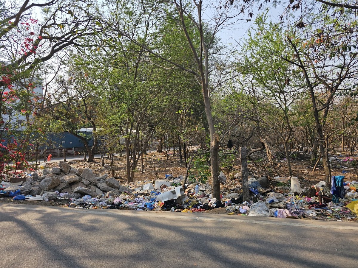 Daniel_Th18's tweet image. Look at the situation in #Hyderabad #garbage is everywhere near trees. Very sad.