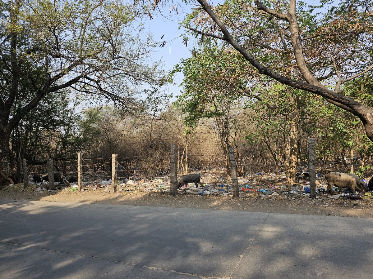 Daniel_Th18's tweet image. Look at the situation in #Hyderabad #garbage is everywhere near trees. Very sad.