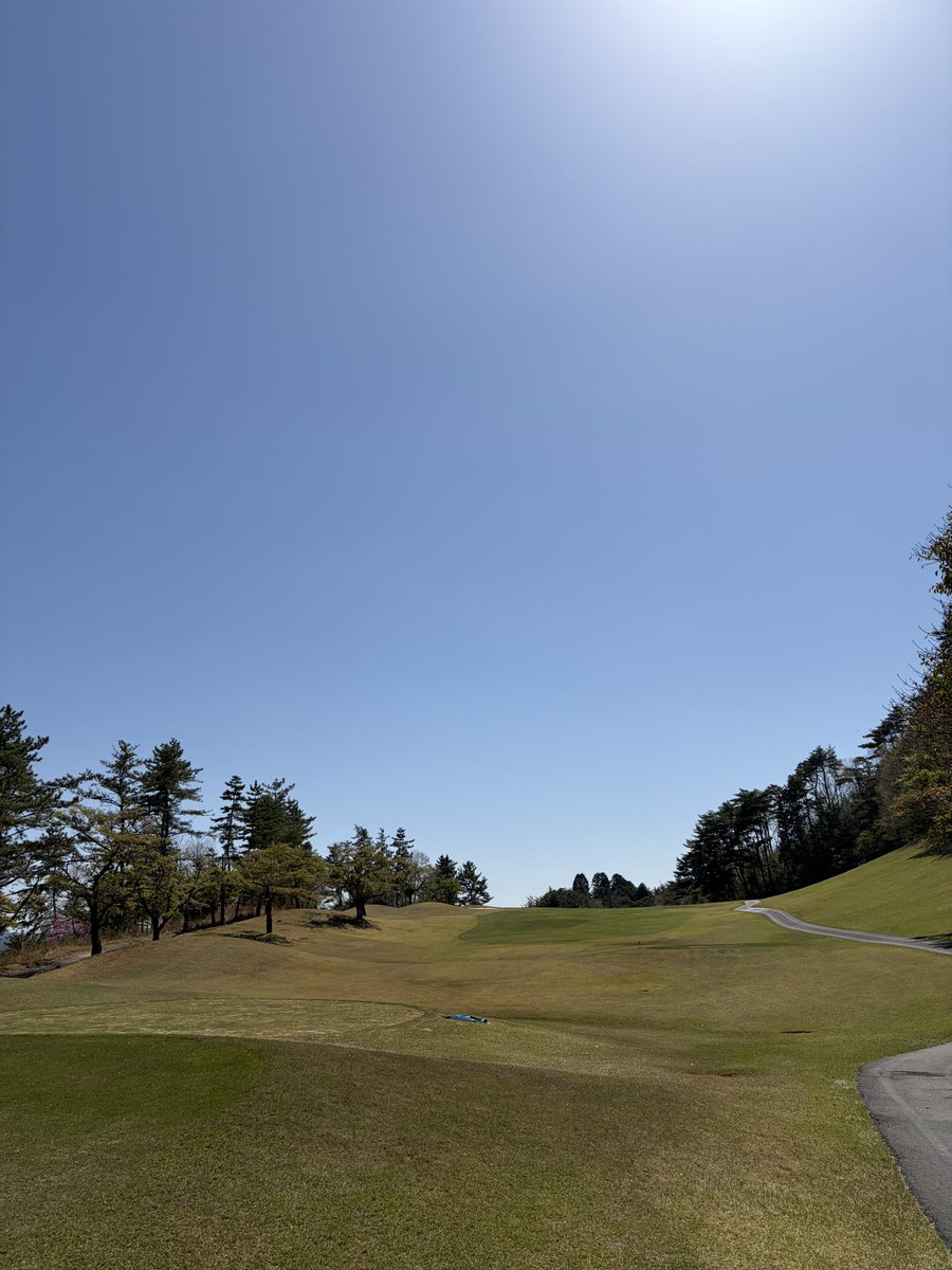 真雄の肉枕 masao tweet media