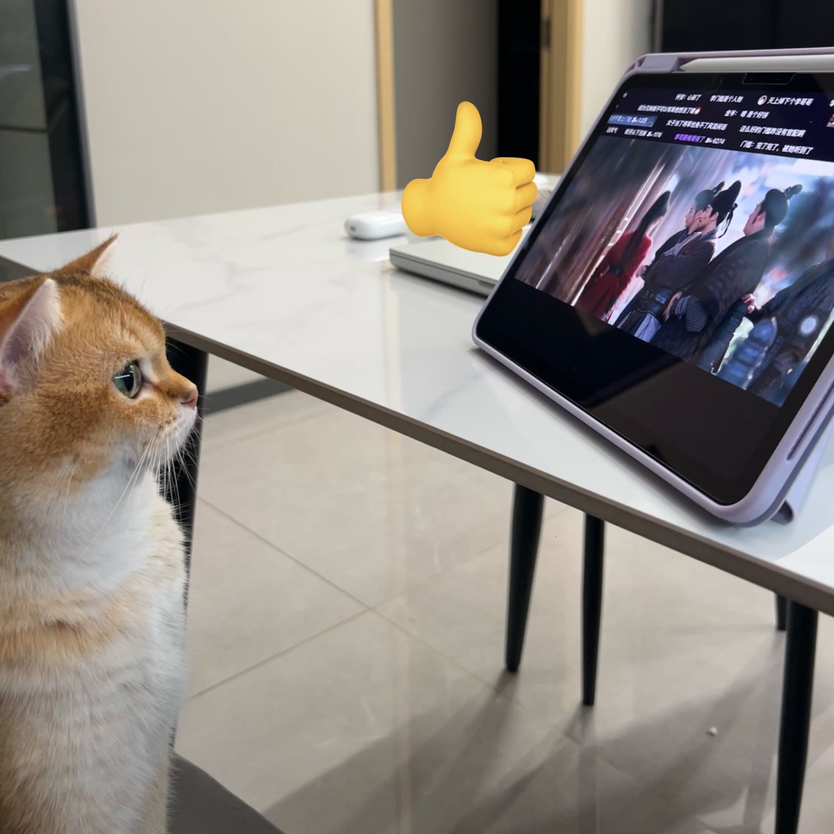 Yeee76z's tweet photo. Human drama is complicated. I prefer tuna.
Meowflix tonight: Zhu Yu only.
#cat #meowflix #cattv #cozyvibes #ZhuYu https://t.co/bKStzyOPEa
