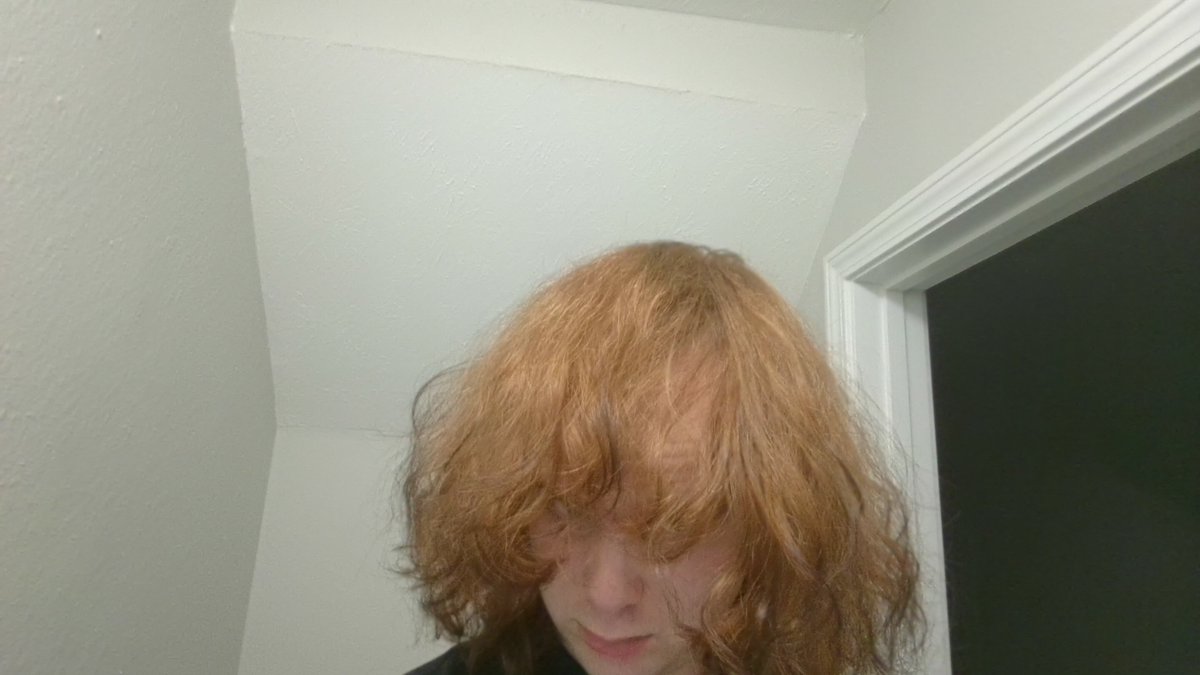 lydia 🏳️‍⚧️💜 tweet media