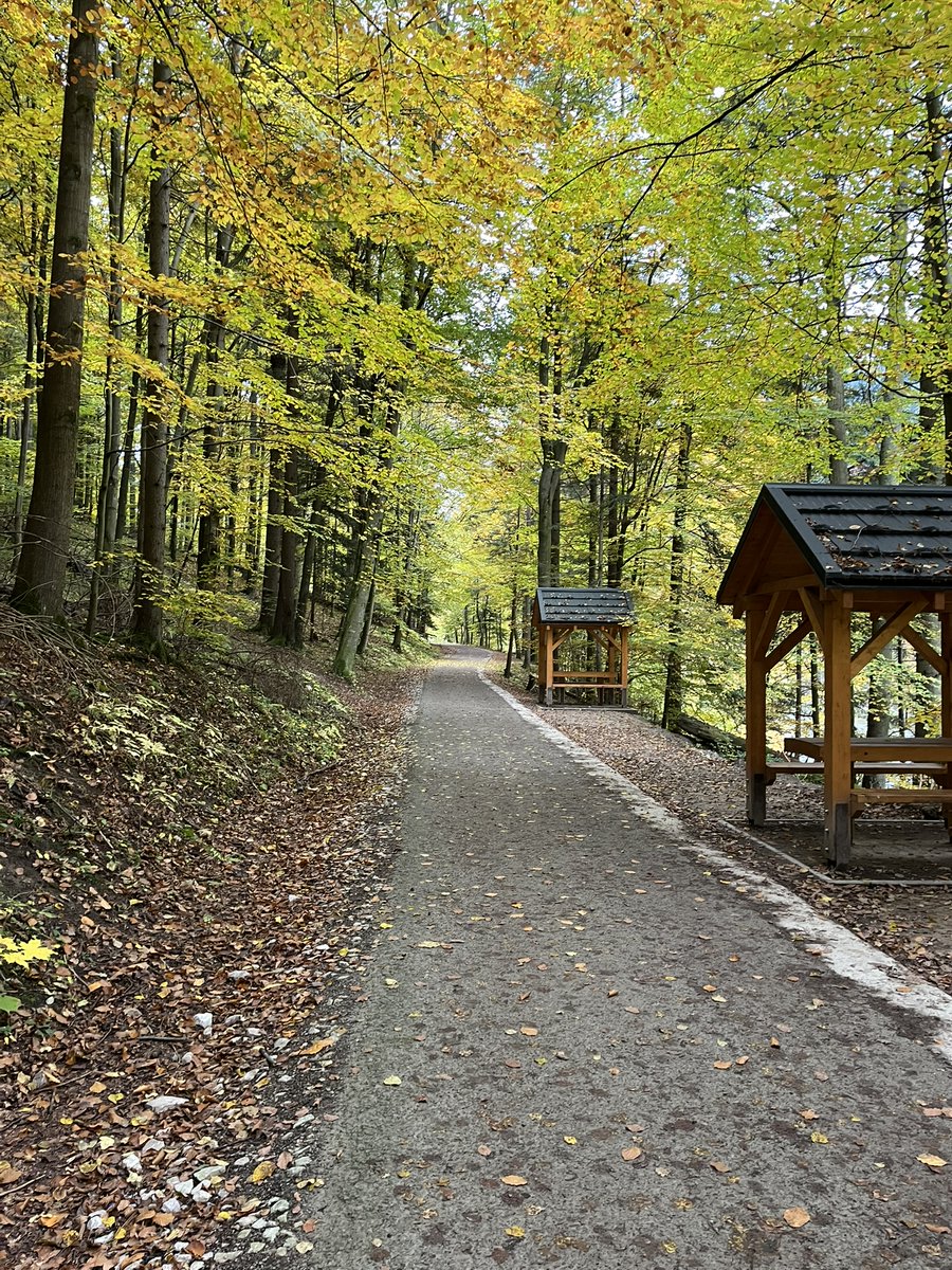 jakub8769's tweet image. Szczawnica - Czerwony Klasztor (Jesień 2025) #szczawnica #jesien #autumn #czerwonyklasztor #turystykarowerowa