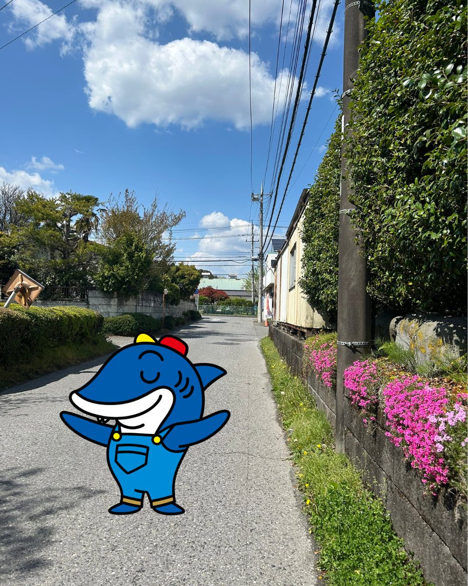 株式会社 鮫島工業🦈リフォーム・設備 tweet media