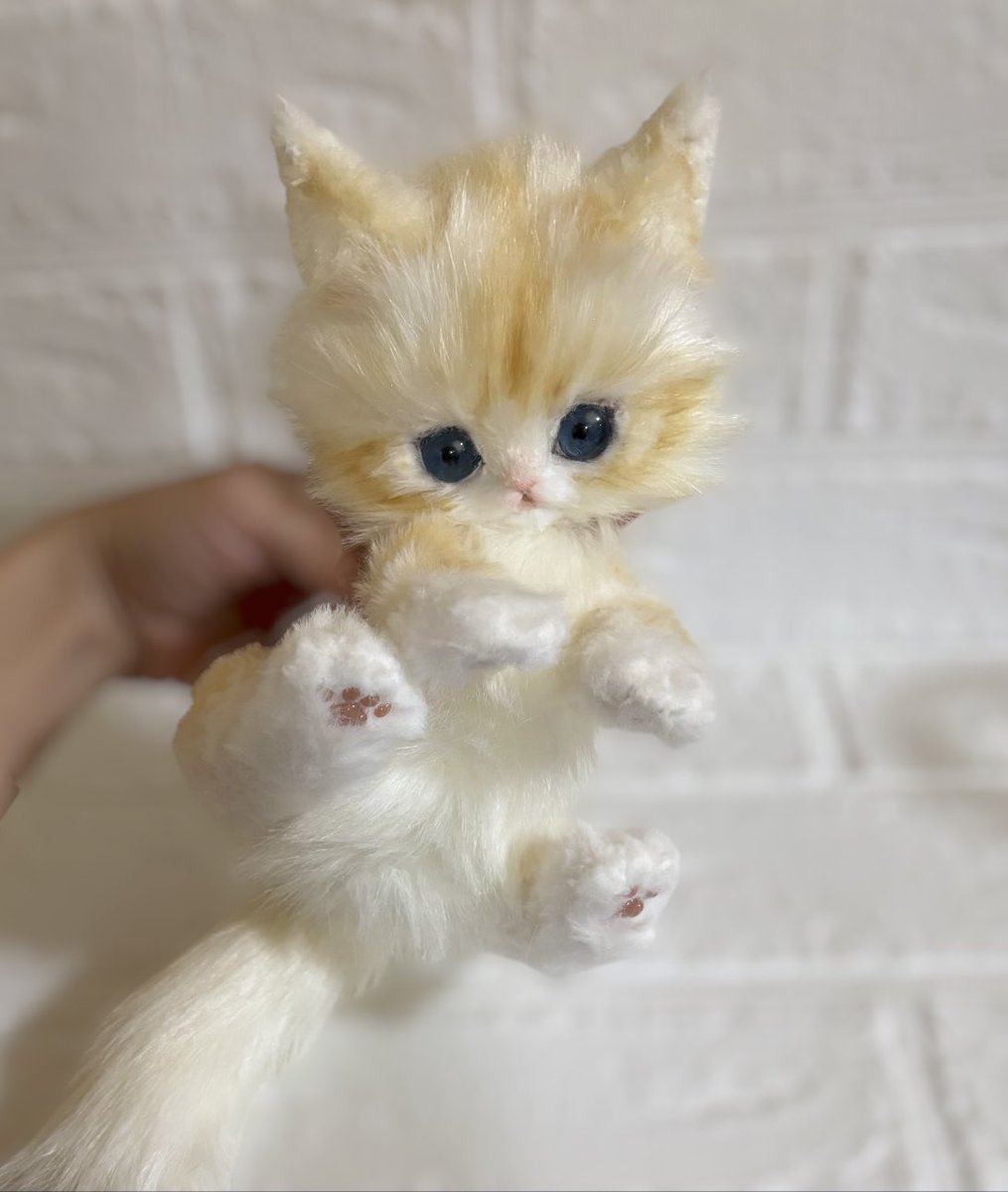 Minou（ミヌー） tweet media