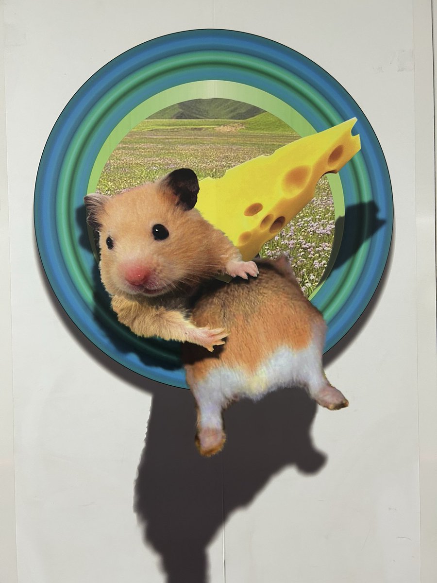 ﾁｮｺﾝ‼️ tweet media