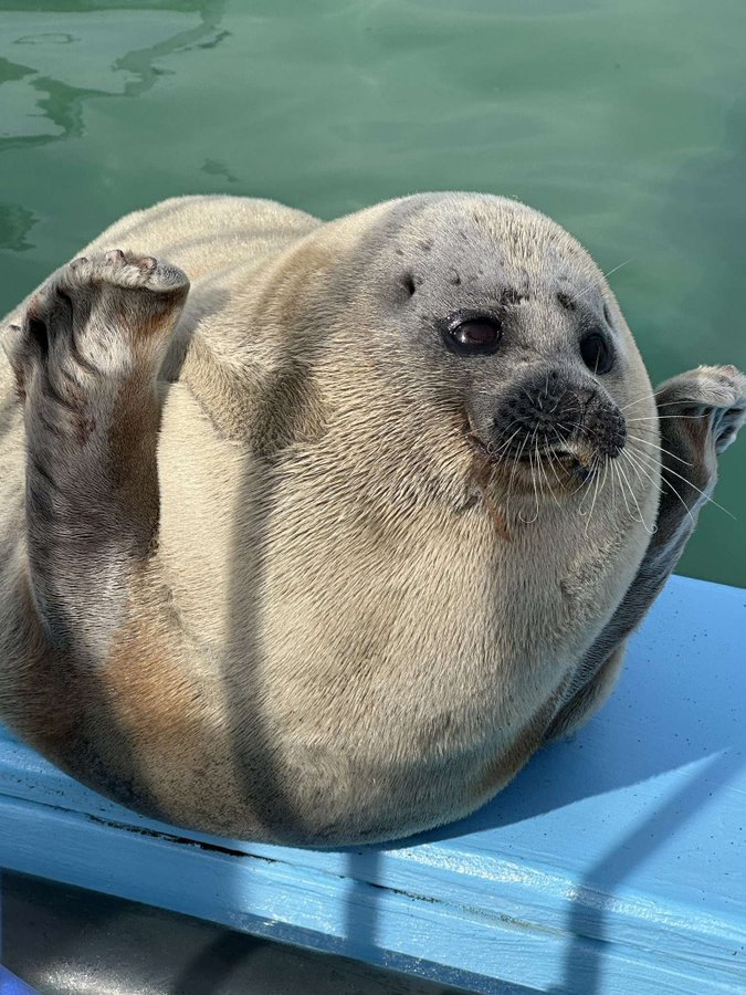 Maybe something good tweet media