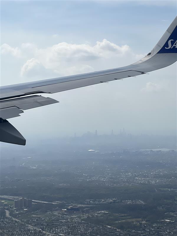 Infotechtion tweet media