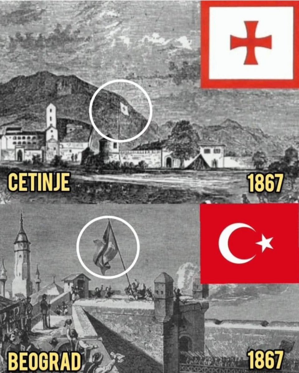 Vukašin Perović tweet media