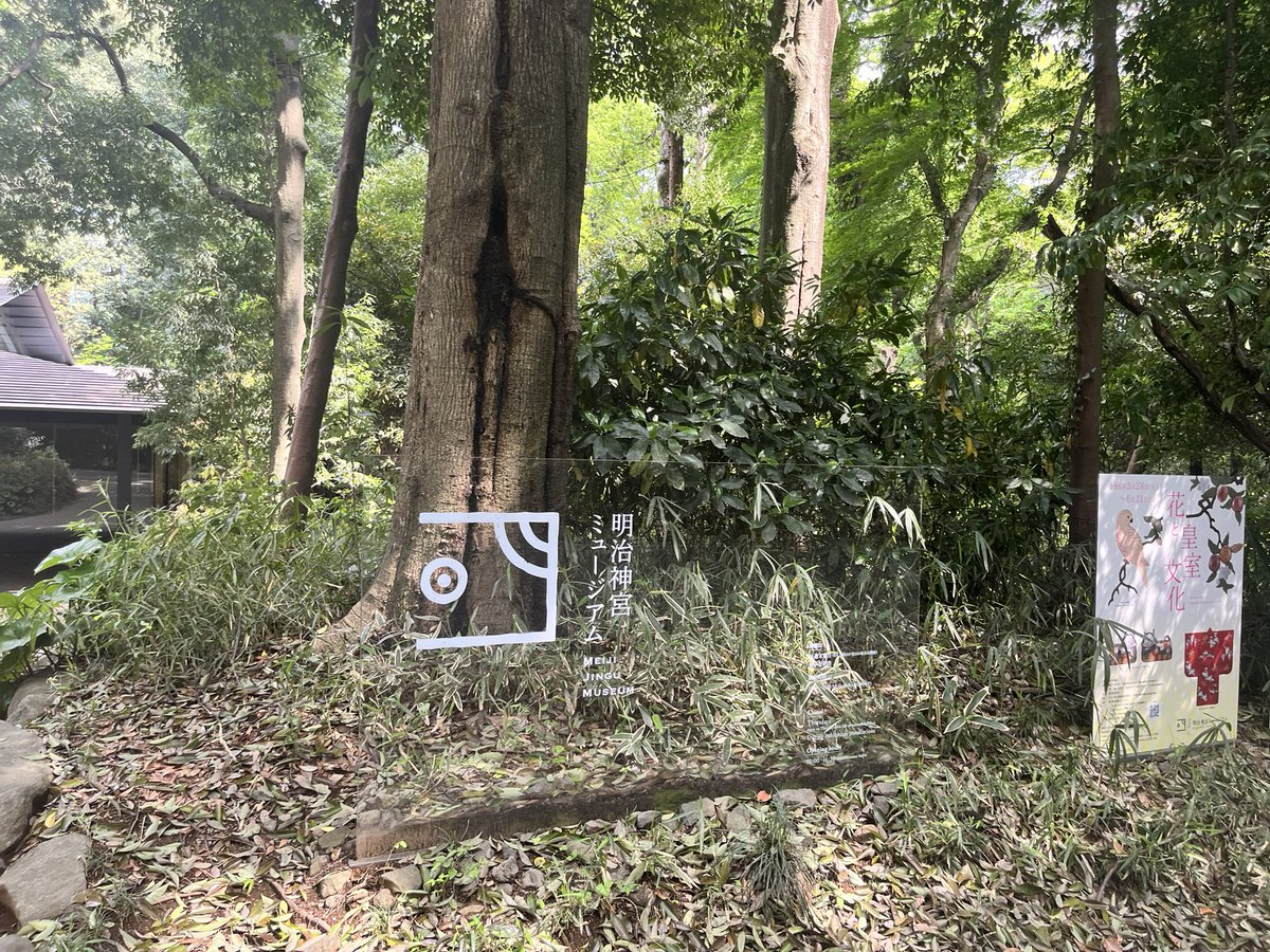 クイックルンβ tweet media