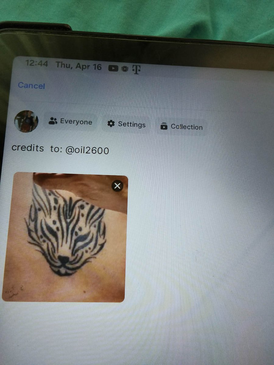 Asianjanres_studio tweet media