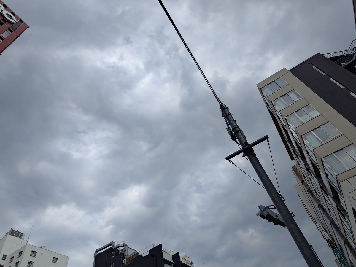 毎日が夏休み！ tweet media