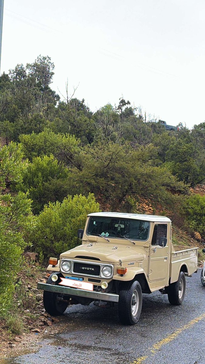 Aisha alamri. tweet media