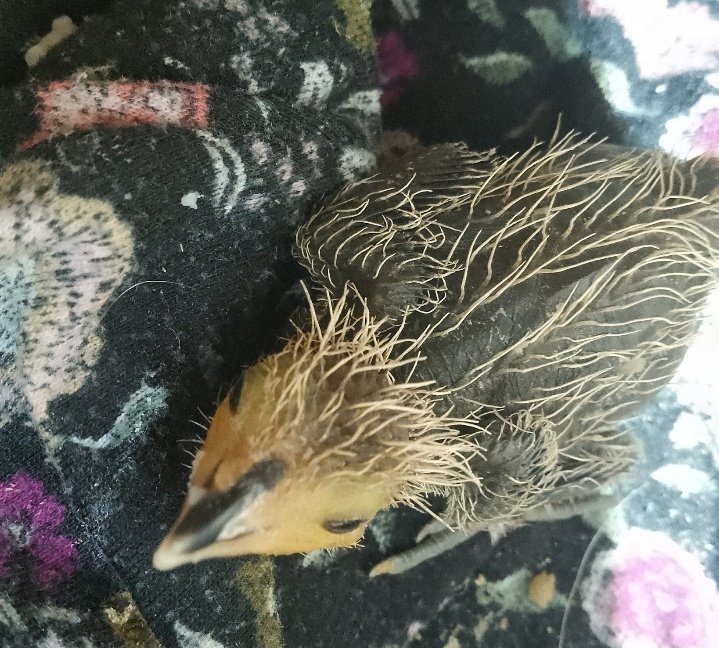 maddi MIXTAPE2ISCOMING tweet media