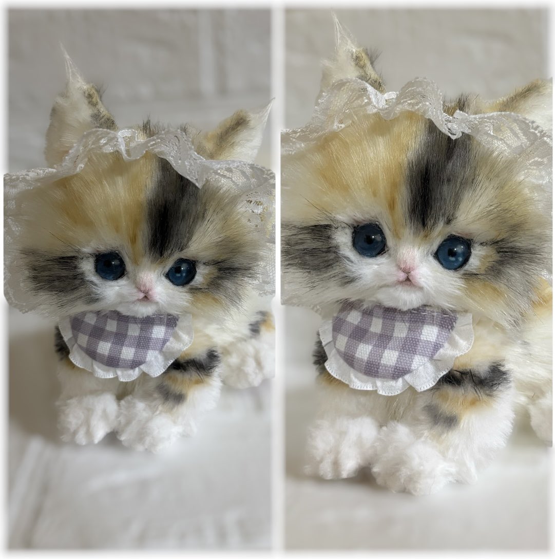 Minou（ミヌー） tweet media