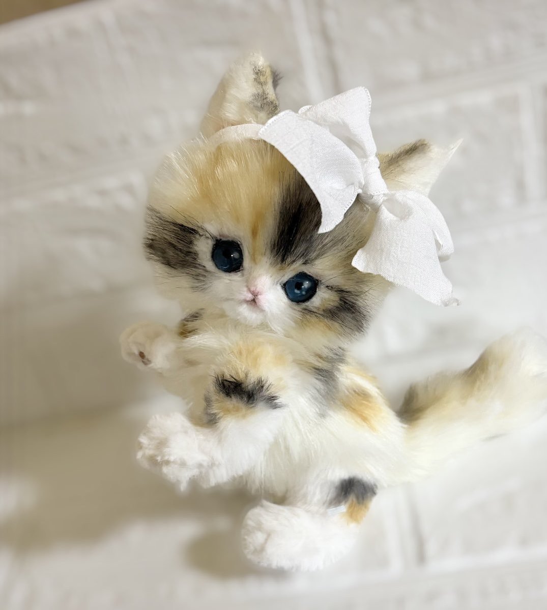 Minou（ミヌー） tweet media