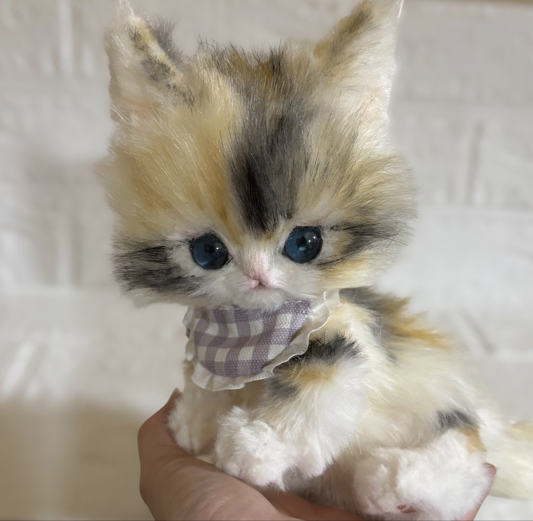 Minou（ミヌー） tweet media