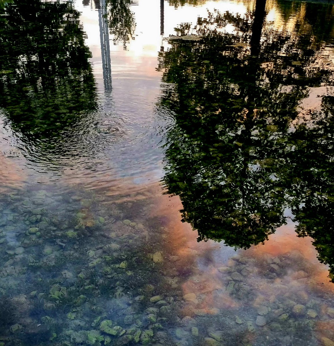 rogiu74's tweet image. Riflessi...
#torino #buongiorno