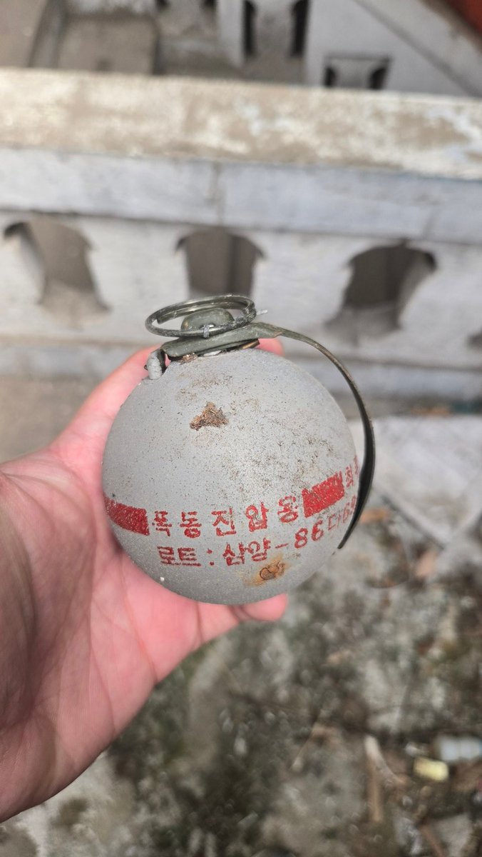 민트초코맛멍뭉이 tweet media