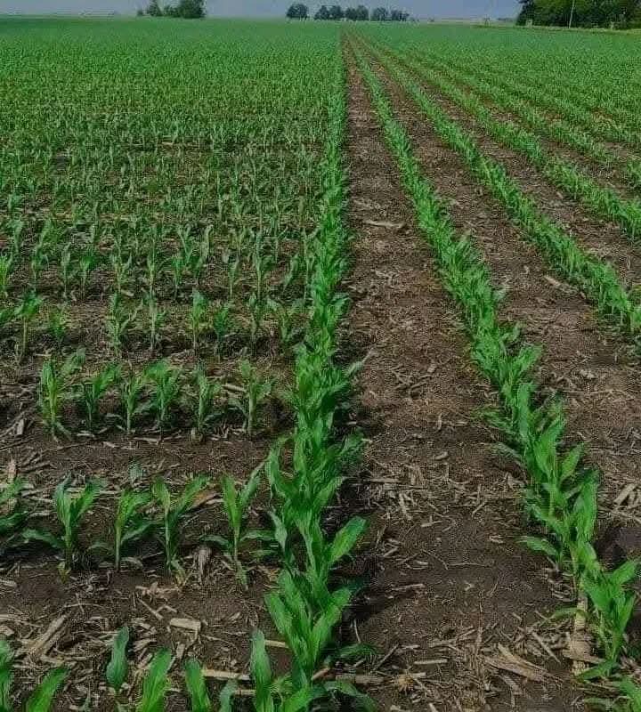 As planting season approaches, make every pass count.
EcoFlux®, powered by NutriCharge, helps you replace talc and graphite with a biologically friendly planter-box treatment that supports early vigor, improves phosphorus efficiency, and promotes healthier soils from day one.
