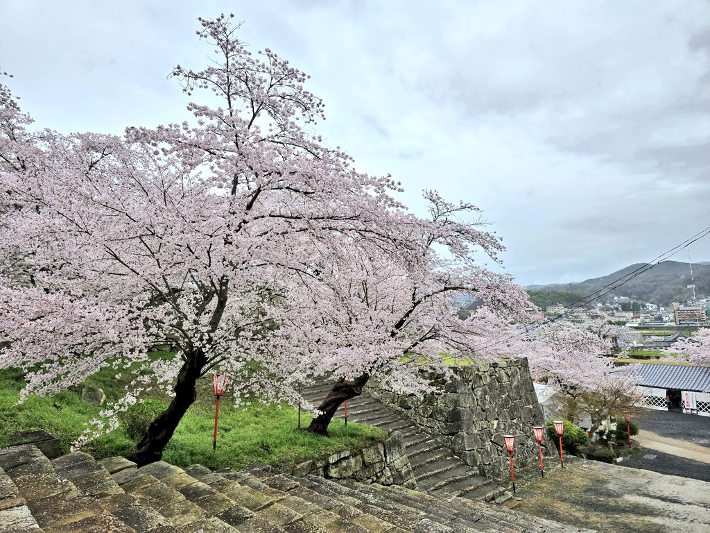 NonstopEurotrip.com 🇺🇦 tweet media