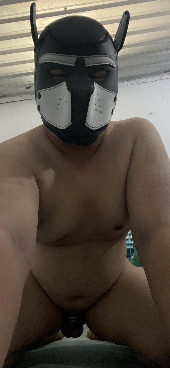 Boss_Pear tweet media