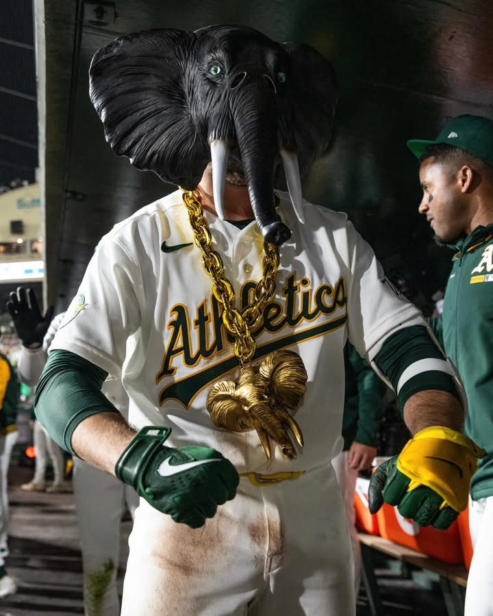 Uprooted tweet media