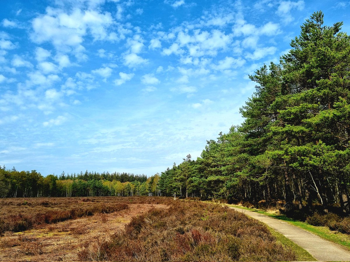 Tjark Dieterman tweet media