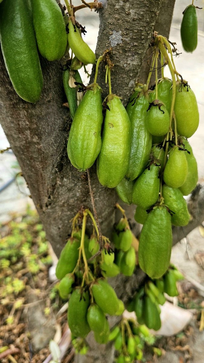 Eat Simple tweet media