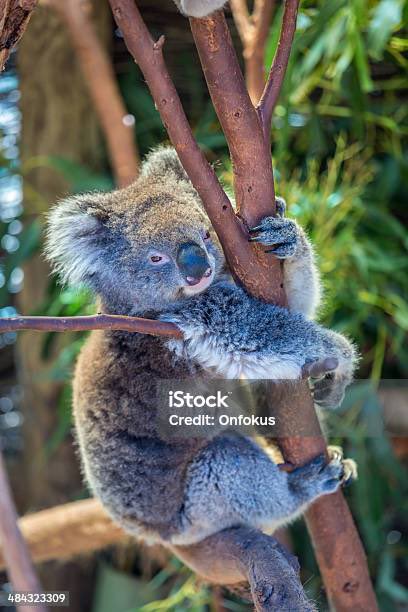 𝐋𝐂ᶻⁿ tweet media