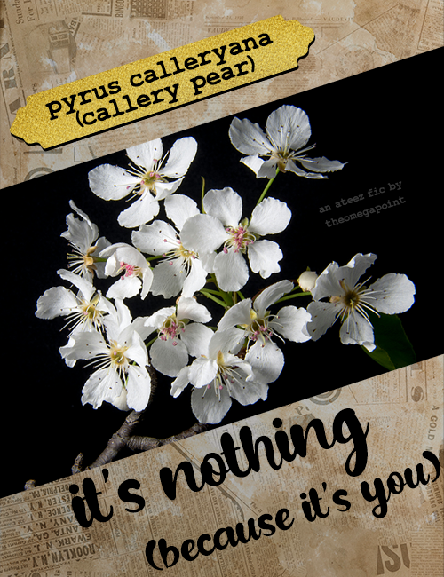 hungry like the wolf tweet media