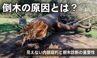 エフティーエス株式会社 tweet media