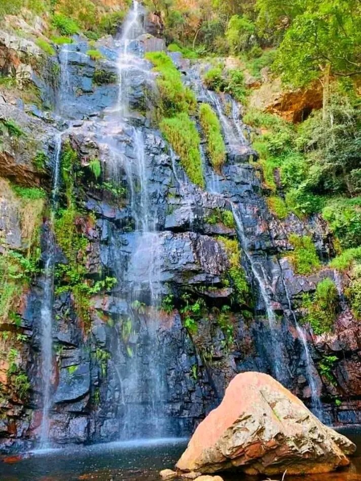 Artist TREVOR🇿🇦 tweet media