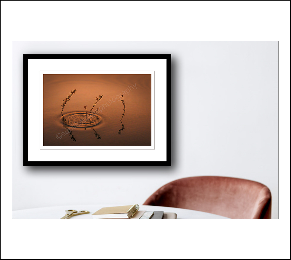 Sunil Kapadia tweet media