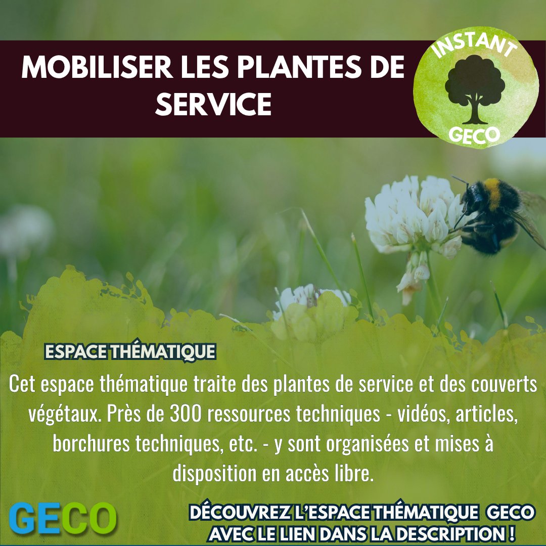 EcophytoPIC tweet media