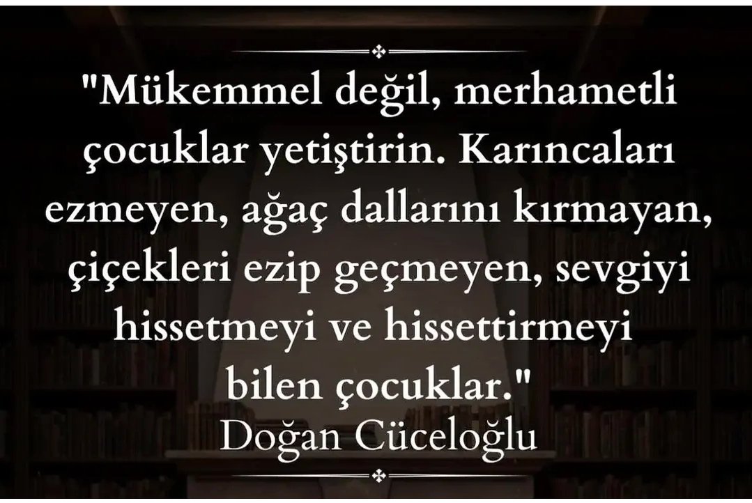 celal-aydoğdu06 (@celalaydgdu06) on Twitter photo 