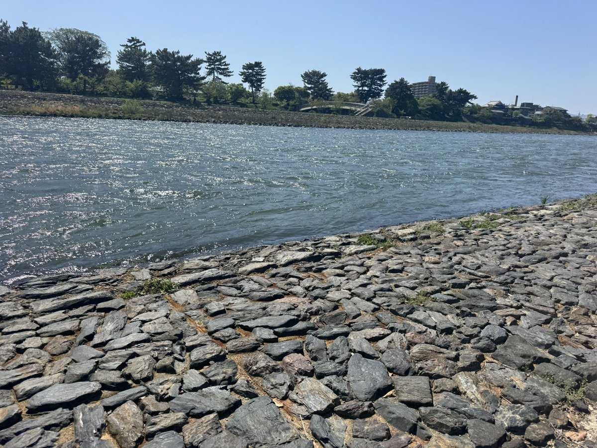 ȺȽɨɘɳ tweet media