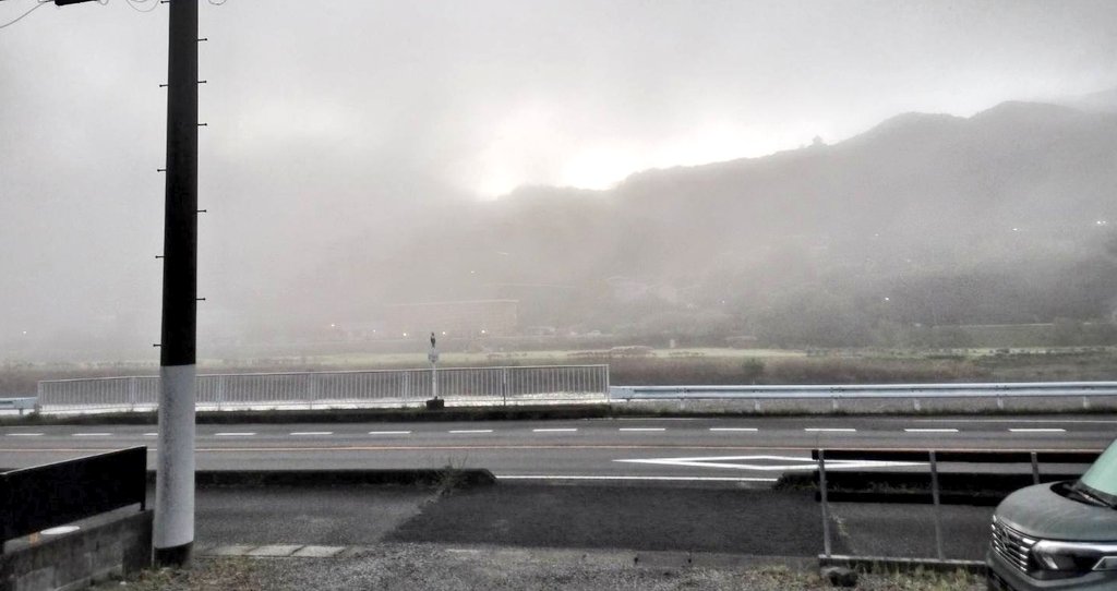 Choro🍯 tweet media