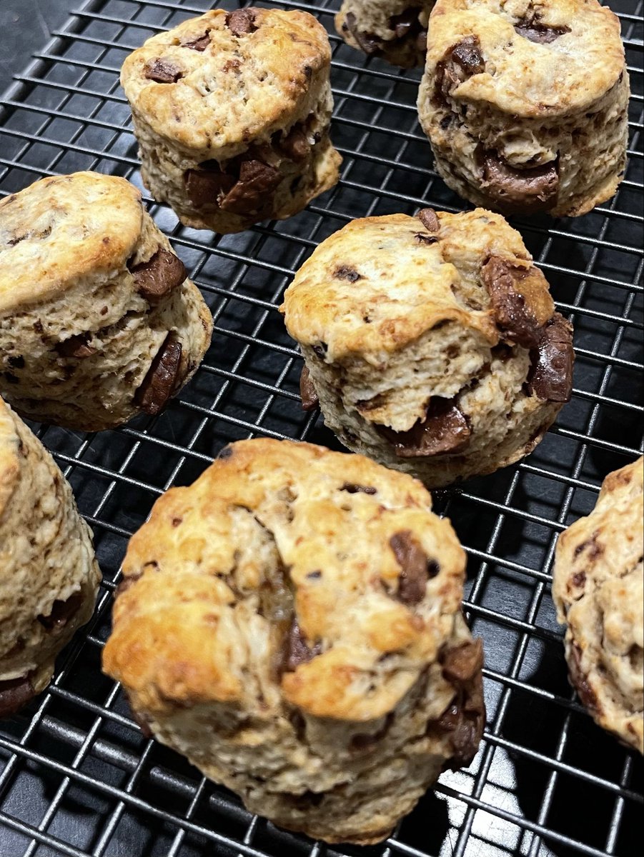 Just_Marsian's tweet photo. Today’s baking episode:
Mocha chocolate scones https://t.co/yUggafwaPe