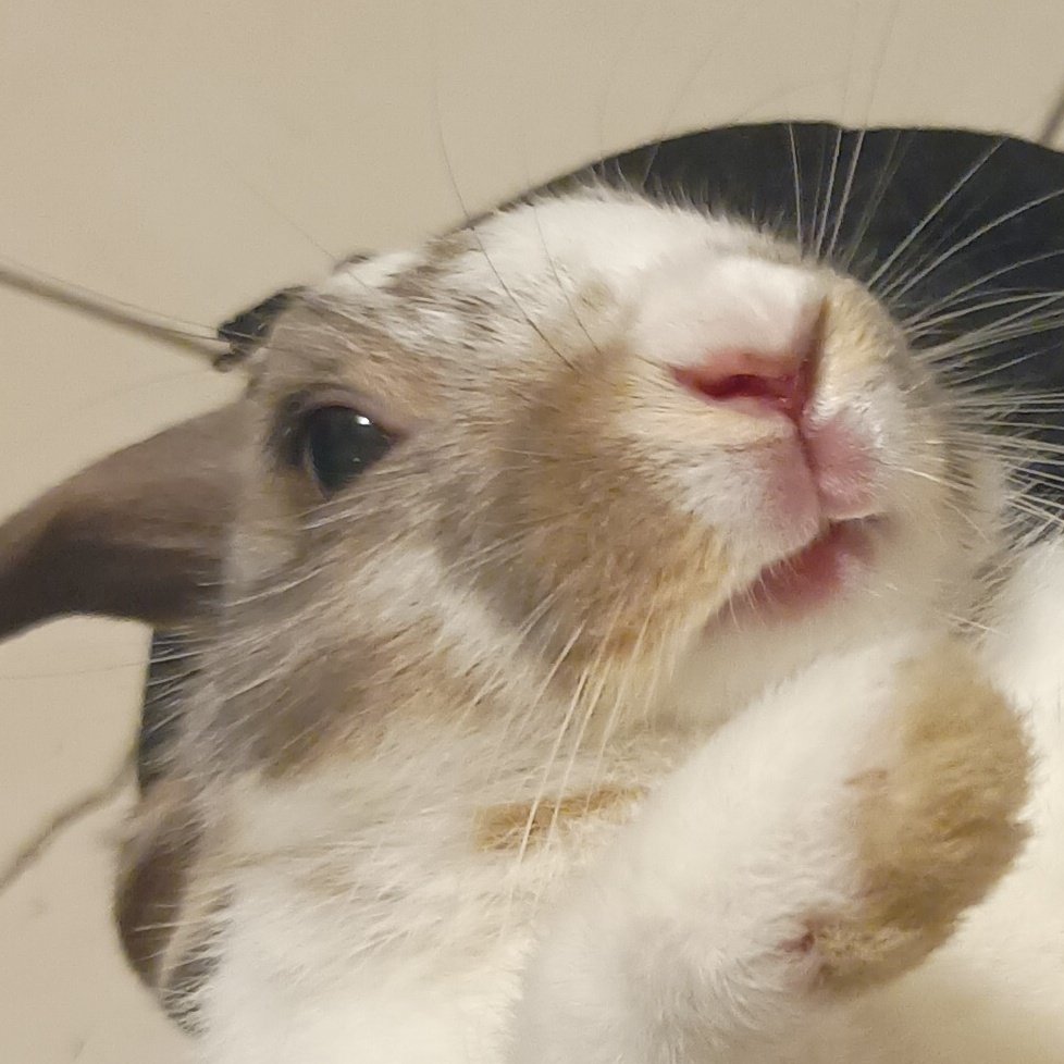 jack!♡ tweet media