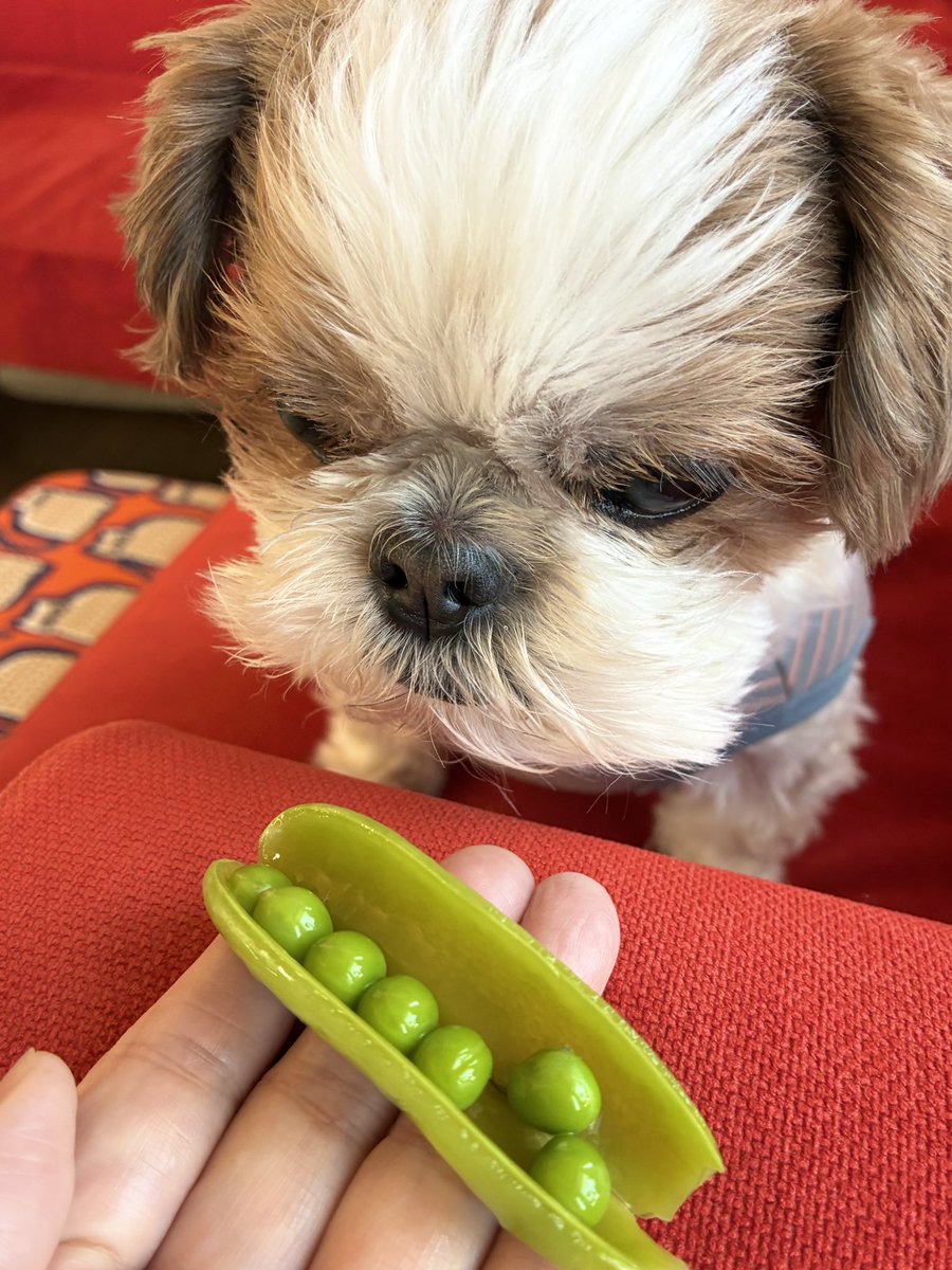 jamcちび太 tweet media