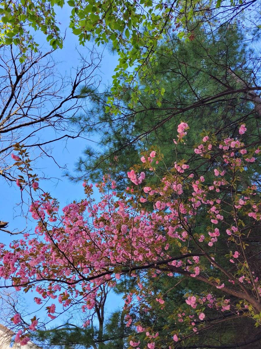 베로니카 tweet media