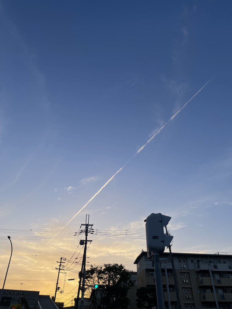 モンビジ・ユーコ tweet media